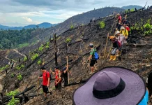 Aktivitas Bakar Lahan di Entikong Berkurang