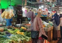 Sempat Naik, Harga Wortel di Sanggau Sudah Normal Lagi