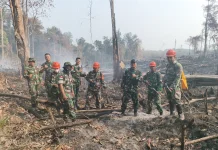 Sinergi Lintas Sektor Berhasil Tekan Karhutla di Sanggau