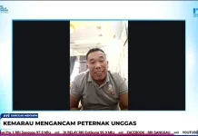 Kabut Asap Picu Kematian Ayam Broiler di Sanggau