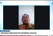 Kematian Unggas Dampak Kemarau Mulai Terjadi di Sanggau