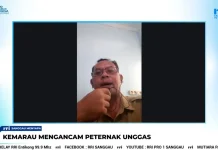 Kabut Asap Tekan Produktivitas Unggas di Sanggau