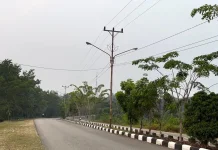 Pembangunan Jaringan Listrik di Sanggau Terganjal Status Hutan Lindung