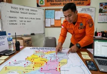 BPBD Sanggau Ungkap Karhutla Merata di 15 Kecamatan
