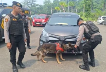 Polda Kalbar Terjunkan Dua Anjing Pelacak ke Entikong