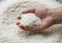 Bukan Soal Bahaya, Ini yang Bikin Beras Fortifikasi Jadi Polemik
