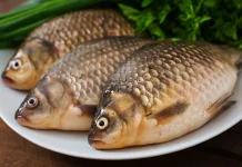 Tujuh Fakta Nila, Ikan Air Tawar yang Kaya Nutrisi