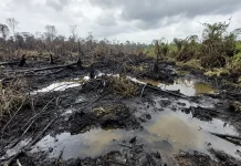 Karhutla Mulai Mereda, Sanggau Bersiap Masuk Masa Pemulihan