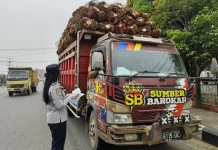 Truk ODOL Terjaring Razia Gabungan di Sanggau