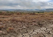 Hujan Belum Merata, BPBD Sanggau Waspadai Karhutla