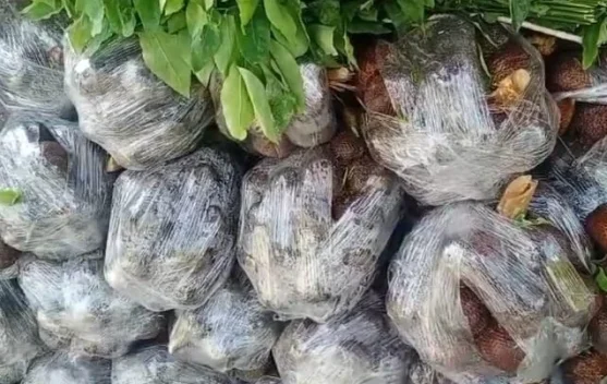 Ramadan, Ekspor BUMDes Entikong Didominasi Salak dan Semangka