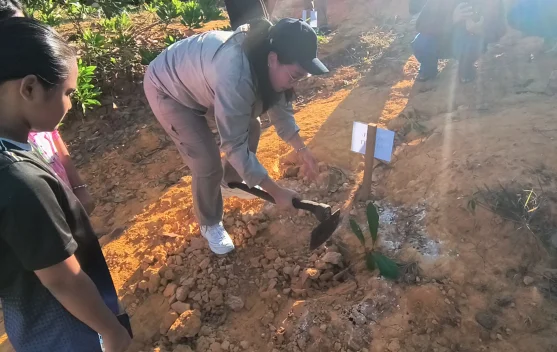 Wabup Susana Ajak Warga Sanggau Tanam Pohon