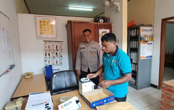 Bulog Serap 1,7 Ton Jagung Polsek Tayan Hilir
