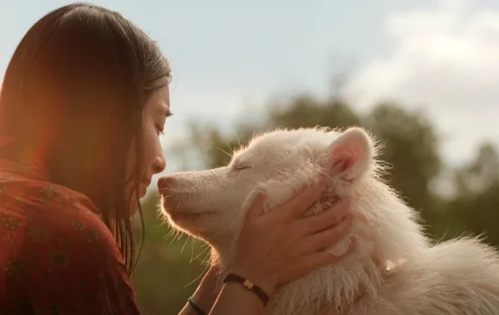 Film Thailand GOHAN (2026) Kisah Anjing Jalanan yang Menyentuh Hati