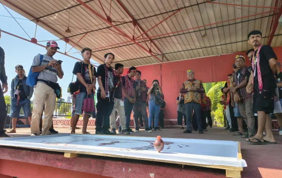Lomba Gasing Jadi Ajang Bakat dalam Gawai Dayak Sanggau