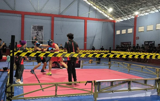 Besantak Series Sanggau, Salurkan Bakat Tarung Secara Sportif