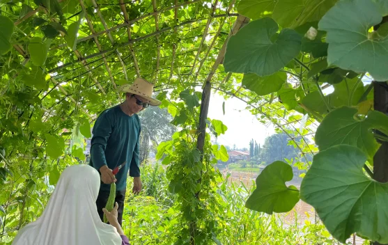 Kebun Pokdarwis Jadi Spot Wisata Baru di Sanggau
