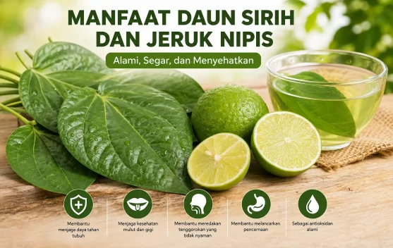 Manfaat Daun Sirih dan Jeruk Nipis bagi Kesehatan