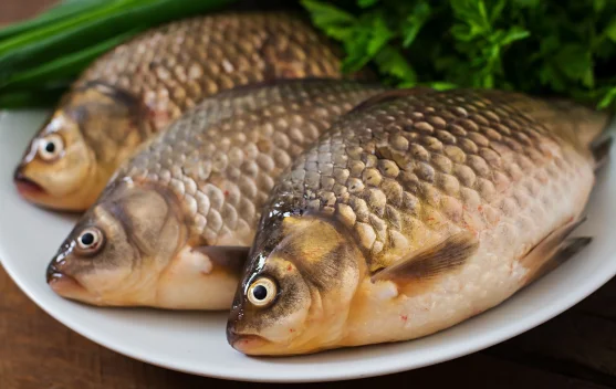 Tujuh Fakta Nila, Ikan Air Tawar yang Kaya Nutrisi