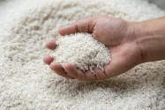 Bukan Soal Bahaya, Ini yang Bikin Beras Fortifikasi Jadi Polemik