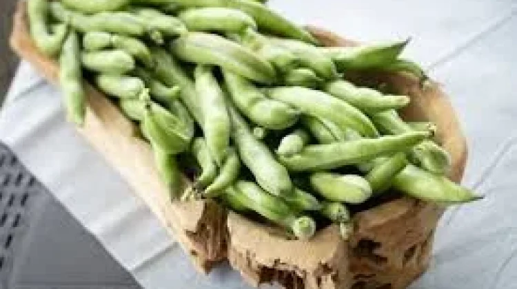 Apa Itu Edamame?
