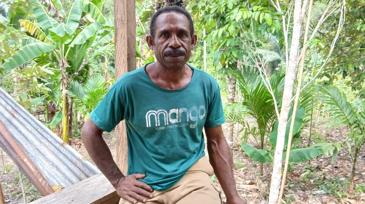 Kelompok Tani Tanjojor Kembangkan Nenas untuk Ketahanan Pangan
