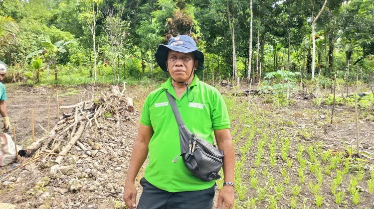 Pendampingan Intensif Nenas Perkuat Ketahanan Pangan