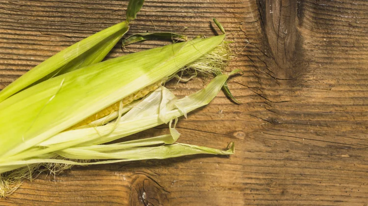 Kulit Jagung Dapat Dimanfaatkan untuk Kesehatan