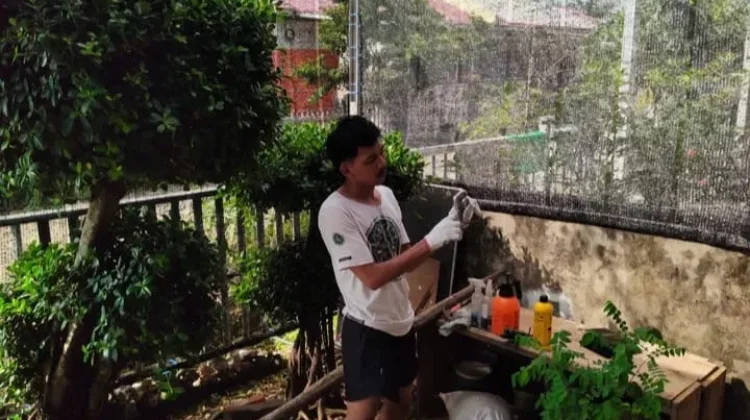 Berkebun saat Puasa Cara Sederhana Redakan Stres