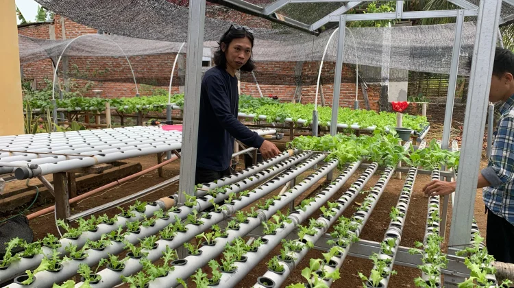 Berkebun saat Puasa Cara Sederhana Redakan Stres
