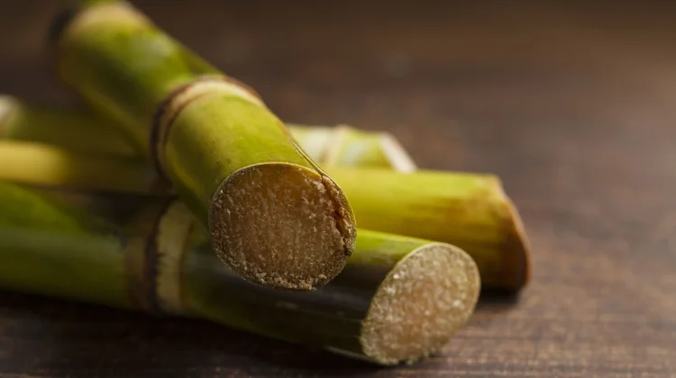 Manfaat Vitamin dalam Air Tebu Menurut Ilmiah