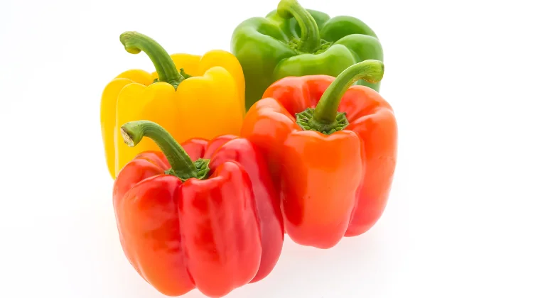 Rahasia Tersembunyi Paprika Khasiat Nutrisi dan Manfaatnya
