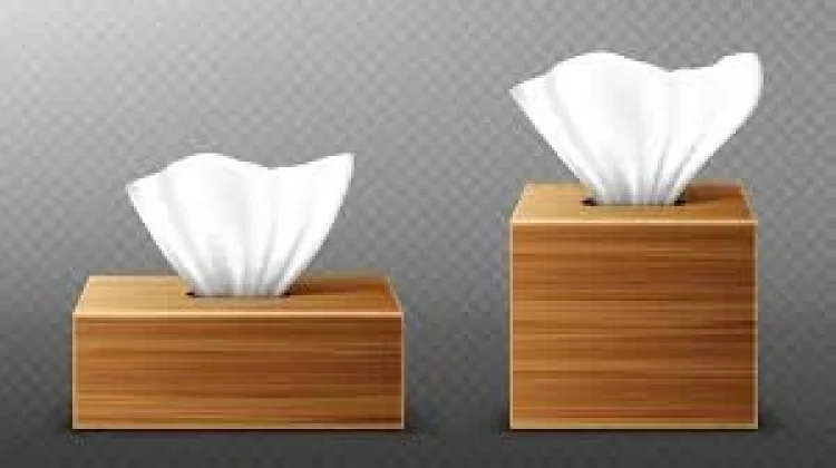 Asal Usul Tisu: Dari Kertas Kuno hingga Produk Modern
