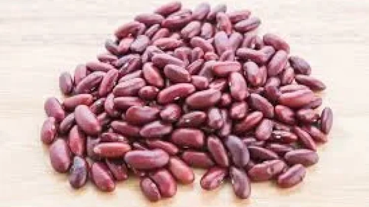 Manfaat Kacang Merah bagi Kesehatan: Kecil, Bergizi, dan Mengenyangkan