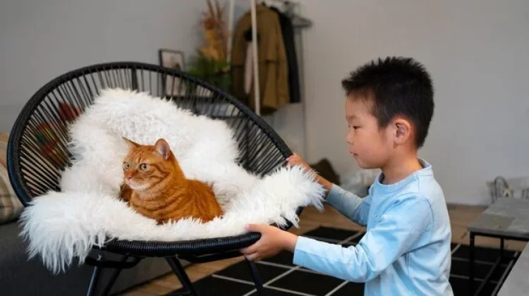 Manfaat  Lain Dirumah Punya Piaraan Kucing