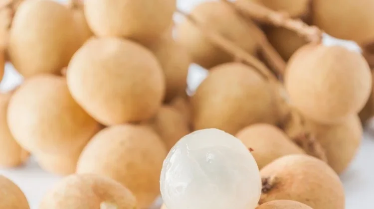 Manfaat Buah Kelengkeng yang Jarang Diketahui