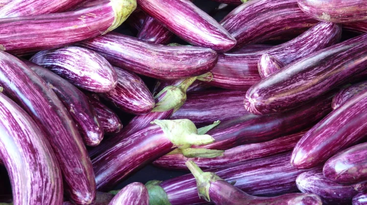 Rahasia dapur: manfaat merendam terong dengan air garam