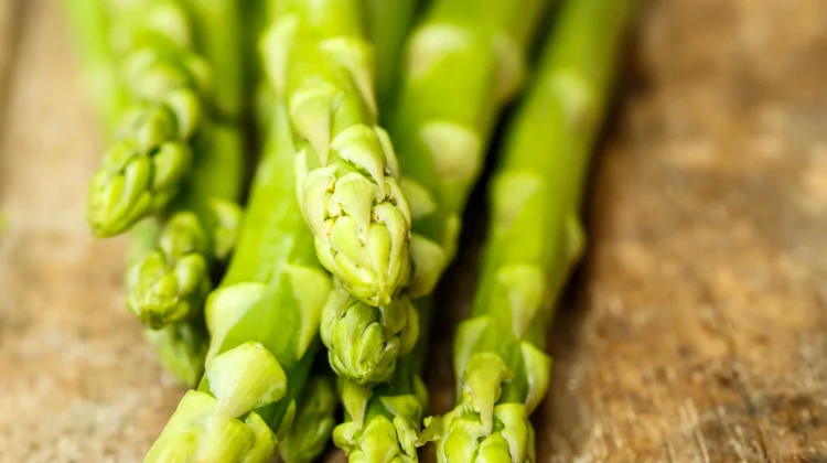 Rahasia Hebat Asparagus untuk Kesehatan Tubuh Optimal