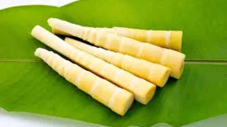 Rebung: Tunas Bambu yang Lezat dan Kaya Manfaat bagi Kesehatan