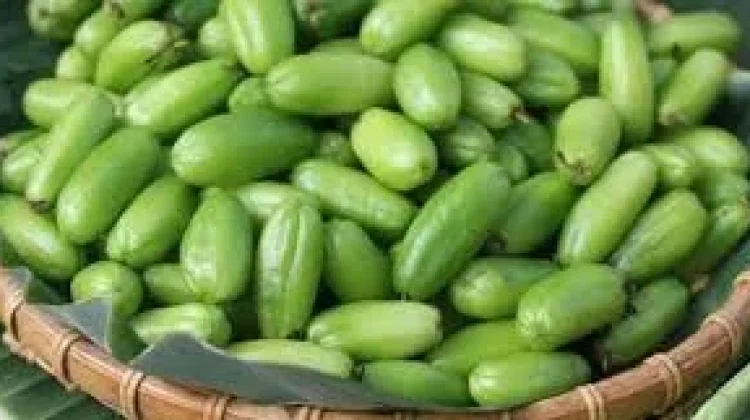 Perbedaan Buah Belimbing dan Belimbing Wuluh: Sekilas Mirip, ternyata Berbeda Jauh