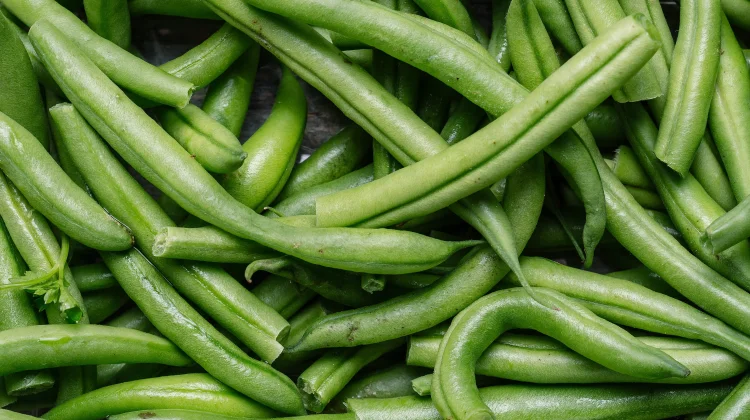Buncis Kaya Nutrisi  bermanfaat untuk Kesehatan Tubuh Optimal