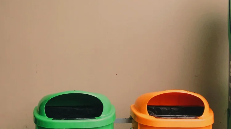 Cara Mudah Memilah dan Mengolah Sampah di Rumah untuk Pemula