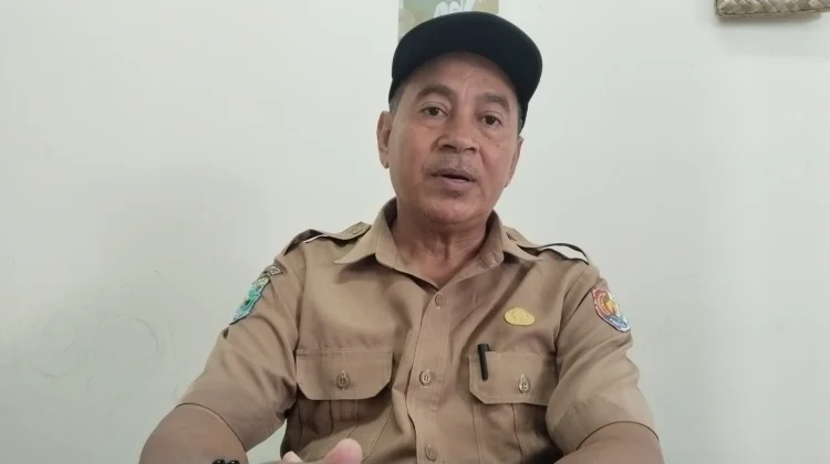 Cetak sawah bertahap, Fakfak targetkan produksi padi meningkat