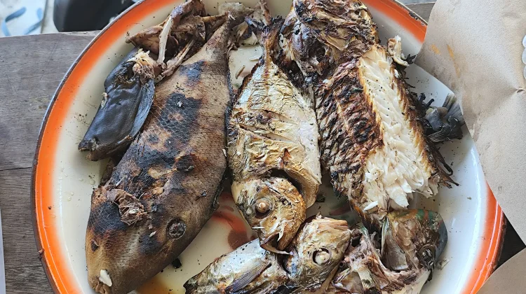 Lezat dan Sehat, Ini Segudang Manfaat Ikan Bakar