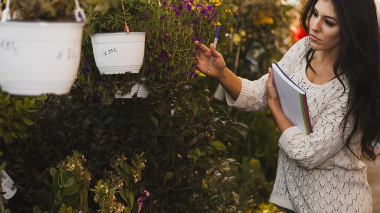 Tujuh Cara Membuat Kebun Aromatik Minimalis di Teras