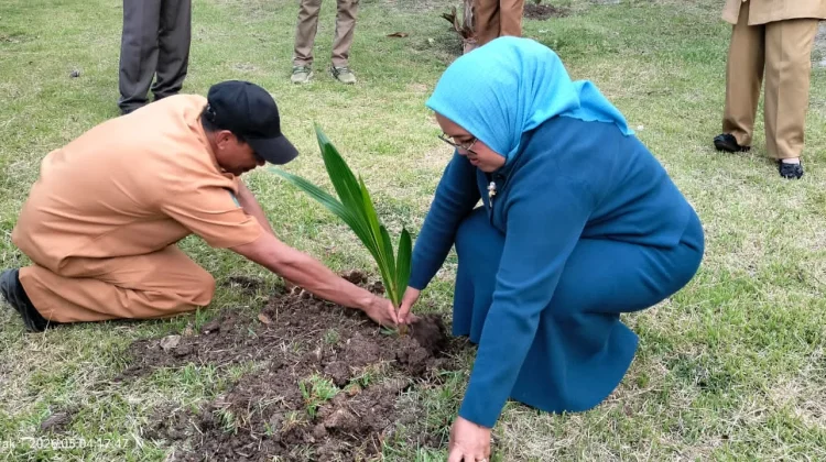 Ketua TP-PKK Fakfak Gaungkan Budaya Tanam Berkelanjutan di Pekarangan