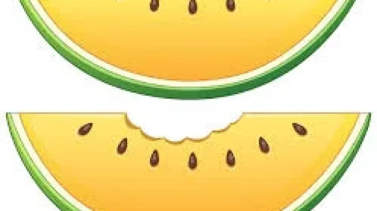 Mengapa Ada Semangka Berwarna Kuning?