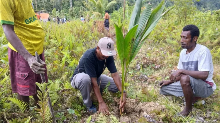 Dinas Perkebunan Ajak Warga Manfaatkan Lahan Kosong Produktif