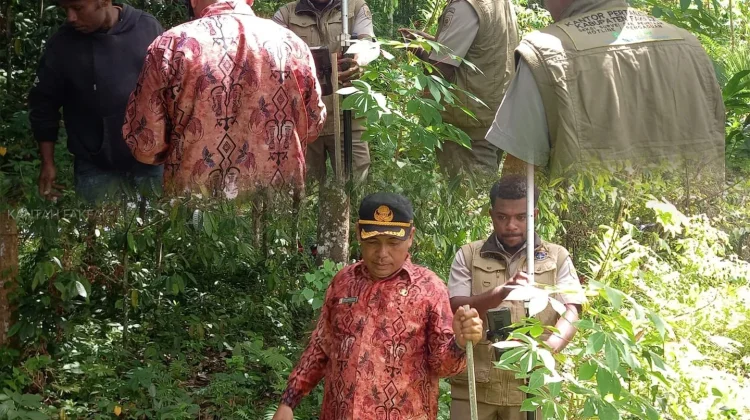 BPN Fakfak Lakukan Pengukuran Ulang Batas Sertipikat Tanah