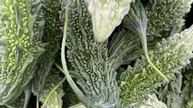 Lima Manfaat Sayur Pare yang Jarang Diketahui, Baik untuk Tubuh dan Pencernaan